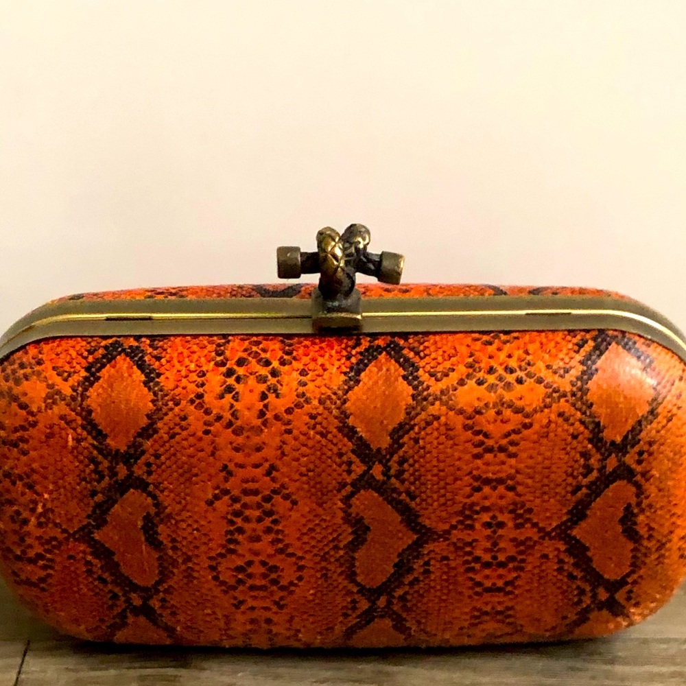 Snake skin clutch